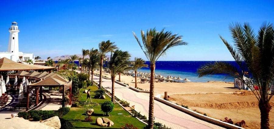 Температура в Египте в декаьре