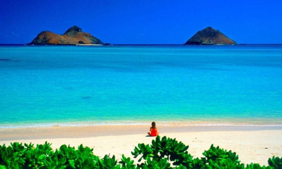 Температура в Египте в январе