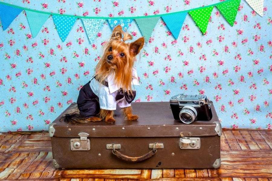 В Болгарию на поезде из Киева