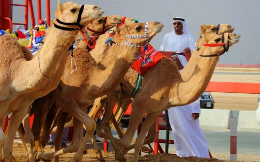 Достопримечательности Дубая самостоятельно