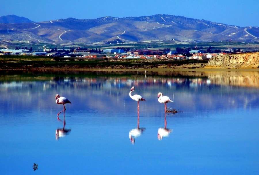 Кипр: расположение на карте мира