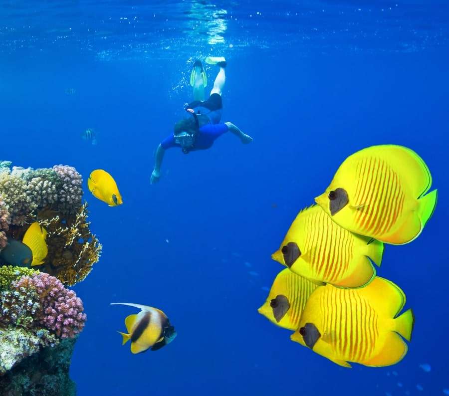 Остров Тиран, Египет: фото