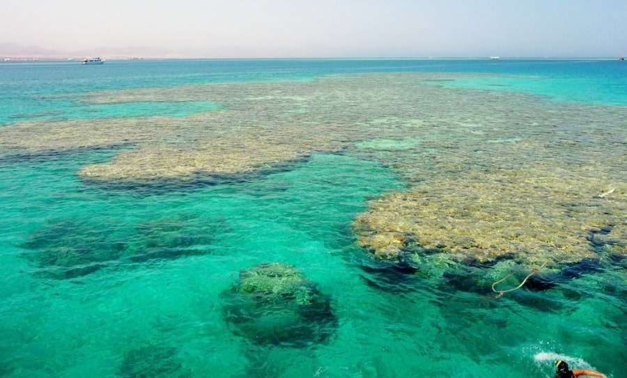 Остров Тиран, Шарм-эль-Шейх