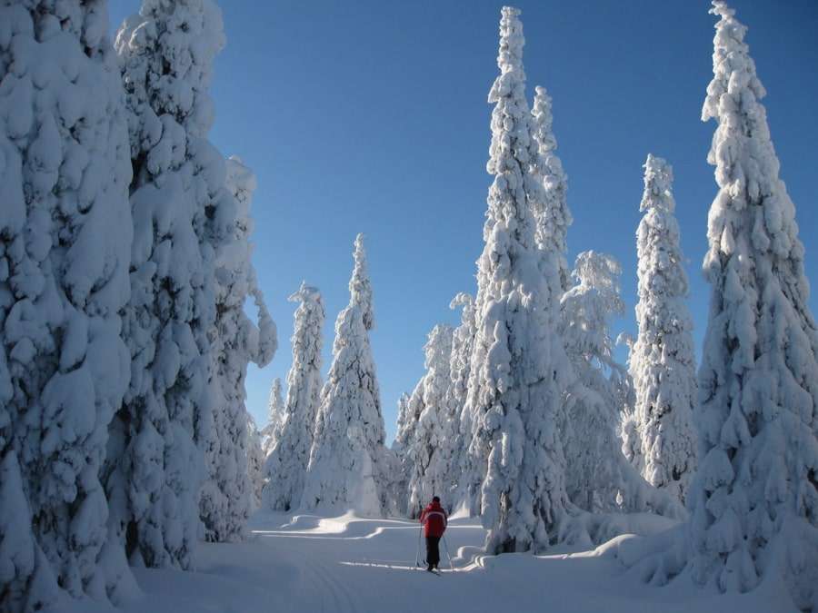 Погода в Финляндии зимой