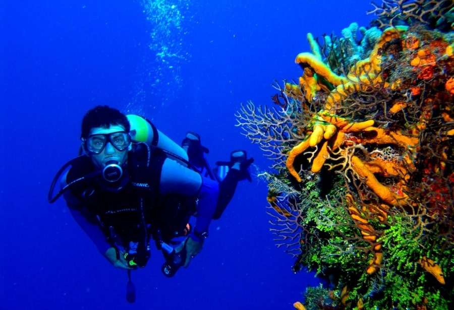 Шарджа: море