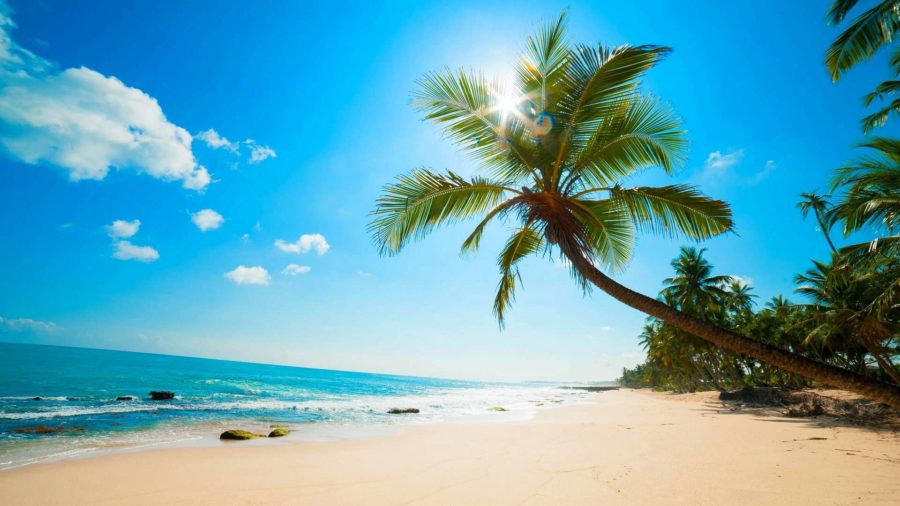 Шарджа пляжи