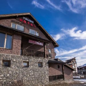 Truso 3* в Гудаури, Грузия 723 €/чел на 7 ночей