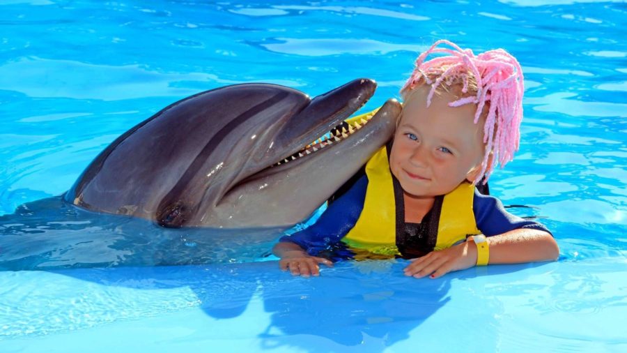 Дельфинарий в Шарм эль Шейхе