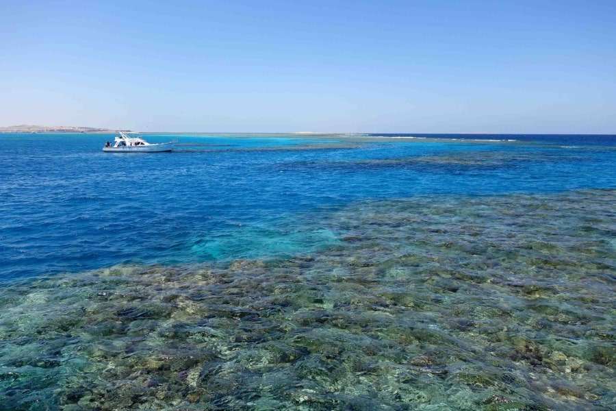 Фото Красного моря