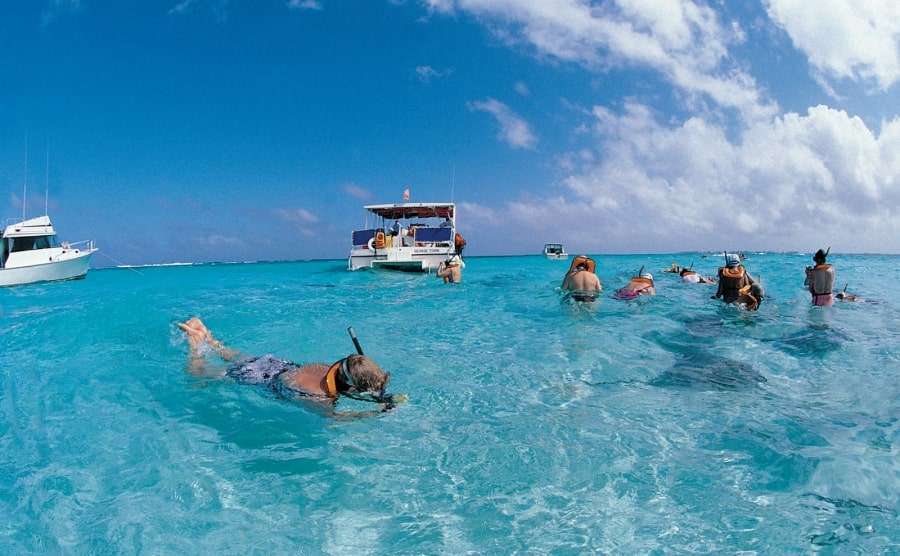 Снорклинг в Красном море