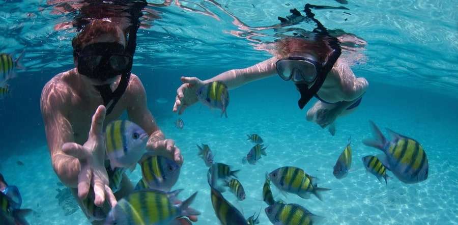 Снорклинг в Красном море