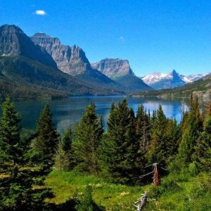 Природа Карпат